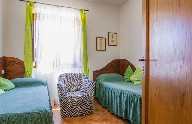 Cedri Alti - Foto 11