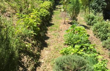 Bus atypique au bord du canal du midi et au cœur d'une forêt 2 chambres - Foto 45