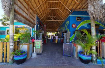 Canal 313 - Right in Siesta Key Village! - Foto 35