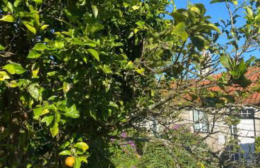 Casa do Carqueijo - Foto 3