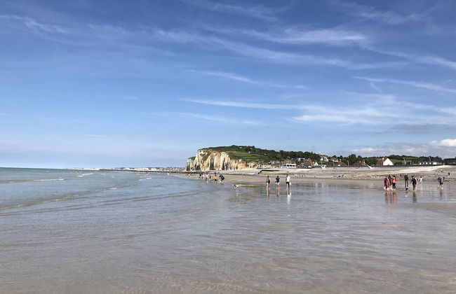 Parc Beausejour Dieppe - Foto 46