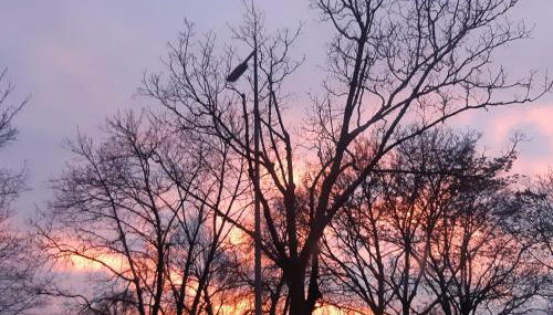 Wohnung Waldstadt-Zentrum - Foto 4