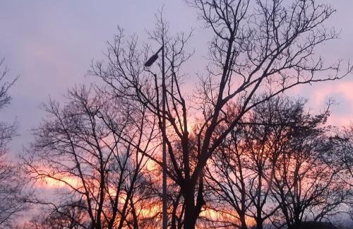 Wohnung Waldstadt-Zentrum - Foto 4