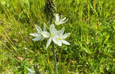 Entire flat 2 to 4 pers 1 bed 1 bath disabled access for limited disability - Foto 22