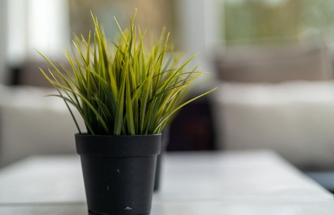 Holiday Home in Zeeland Near Lake - Foto 24