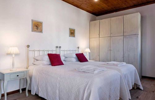 Kosta's House - Photo 16