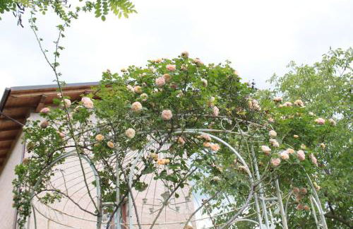 Chiesa Ignano 1778 - Photo 66