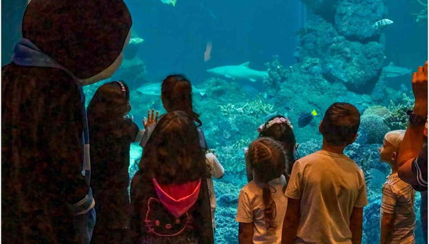 Oman Aquarium Tickets - Foto 4