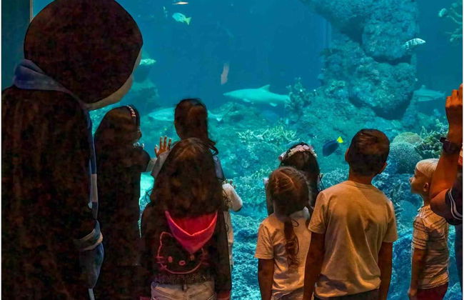 Oman Aquarium Tickets - Foto 4