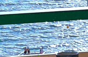 Paradis BEACH & CENTER - Foto 4