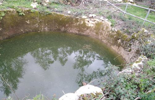 Quinta de São João - Foto 71