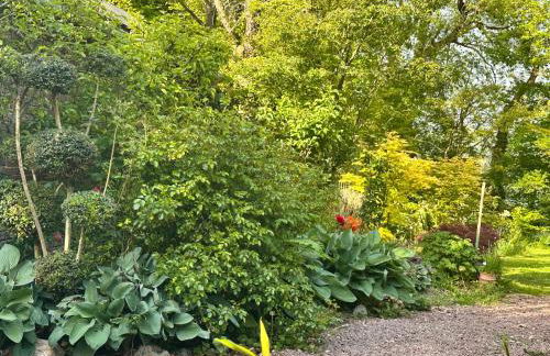 Le Pré Aux Loups - Foto 44