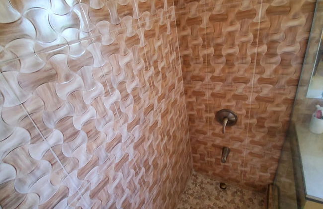 Rochester Modern Chic Apartment - Photo 25