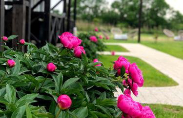 Goose Home and Garden - Photo 15