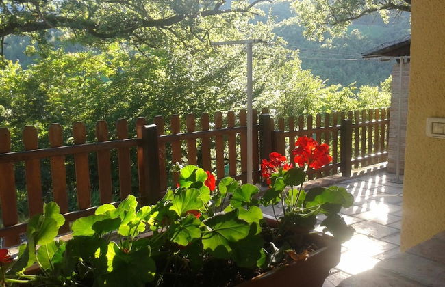 Agriturismo Orsaiola - Foto 18