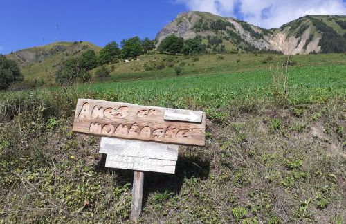 appartement gentiane 4personnes dans gite "la maison d'augustin" classé 3 étoiles,la tour,73530 st jean d'arves - Foto 54