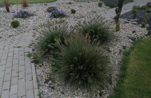 "Lawendowe Wzgórze" - Foto 53