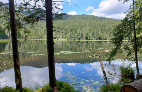 Apartment Pool Sauna Netflix FreeParking WIFI YoutubePremium - Foto 15