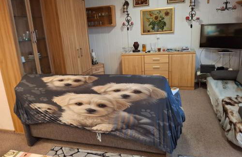 Wohnung 416, Am Kurpark 3, 38700 Braunlage - Foto 38