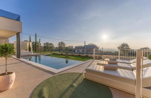 Sella Marron - Foto 10