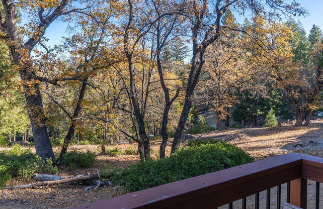 Cozy Corner Yosemite Studio Close to it All! - Foto 14