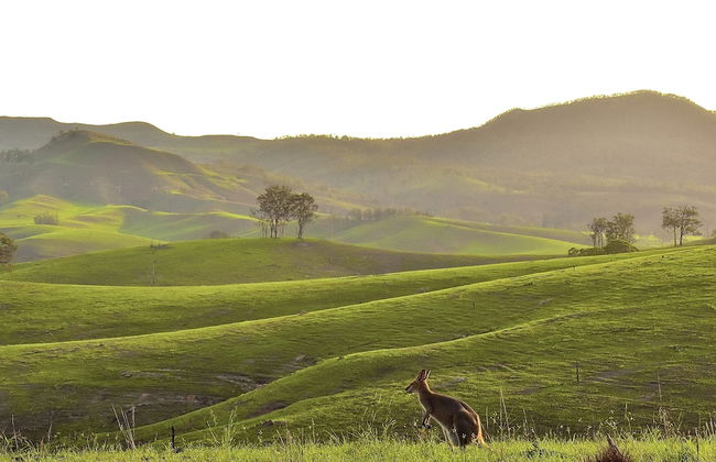 Ketchup's Bank Glamping - Foto 14