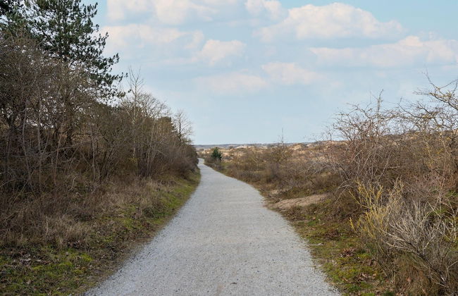 Relax in Your Holiday Home With Sauna, Near the Beach of Noordwijk - Foto 37