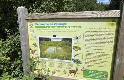 Studio with Garden - Foto 14