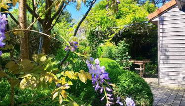 La Tonnelle - Foto 3