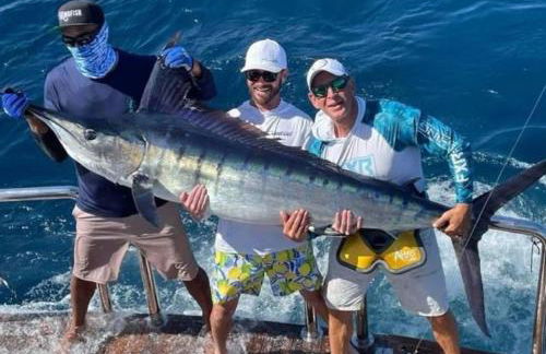 Eichler Mid Century Modern Designer Pool/Jacuzzi - Foto 80