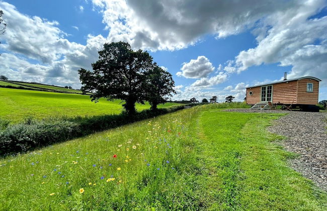Cosy Devon Retreat Woodland Views - Foto 19