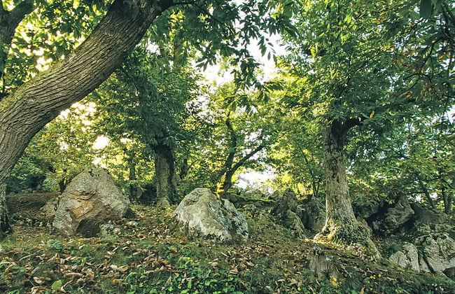 Casale Ulisse - Foto 25