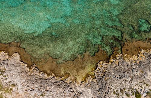 Domus Afrodite - Torre Squillace - Foto 45