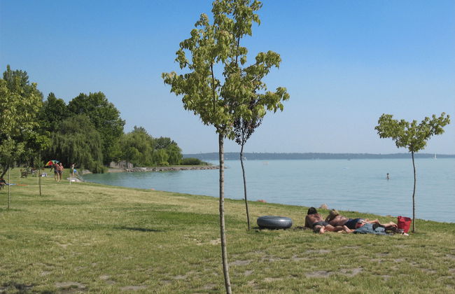 Violetta 3 - Foto 20