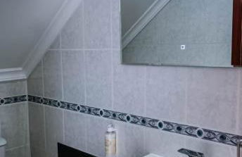 Bird’s Home - Foto 27