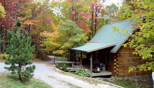 Spacious Cabin Rental with a Hot Tub near the Gauley River in West Virginia - Foto 5