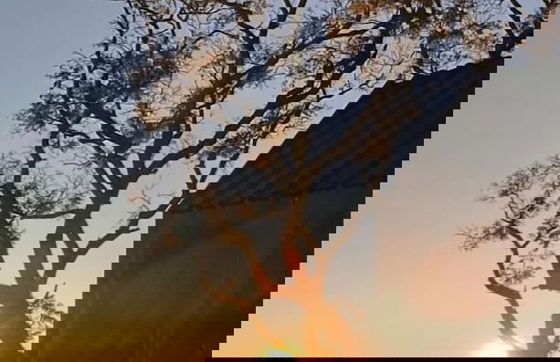 Alta Vista Cabanas - Foto 25