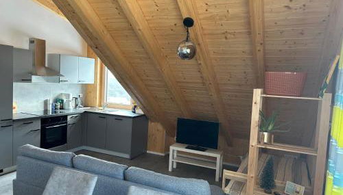 Holzliebe mit Donaublick - Foto 3