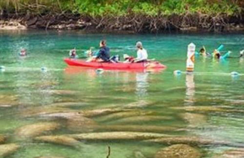 Pool & Spa Hideaway on the Space Coast - Foto 13