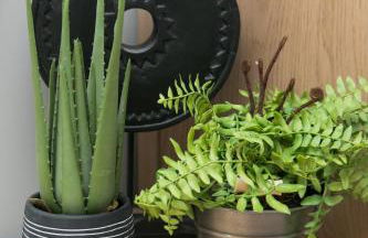 Edgewater - Bracklesham Bay - Foto 34