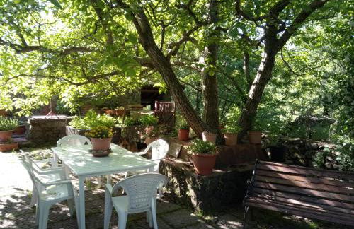 Cirasellaetna - Foto 89