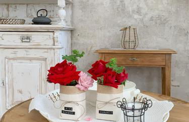 Appartment Chupferschmied - Wohlfühlen im Altstadtambiente - Foto 25