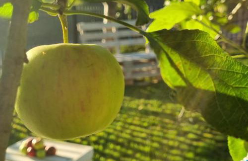 W Małym Sadzie - Foto 24