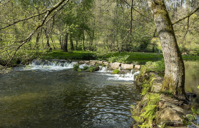 Quinta do Rio Homem - Photo 32