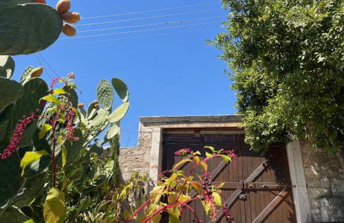 Accetto, Stone House With Pool - Foto 47