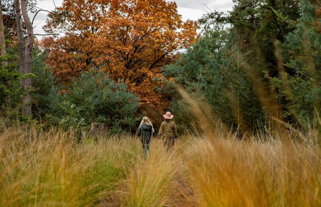 Villa in Someren Near Somerense Heide - Photo 33