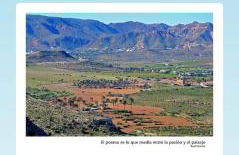 ZARATUSTRA. Rodalquilar CENTRO. GRAN terra. WIFI - Foto 23