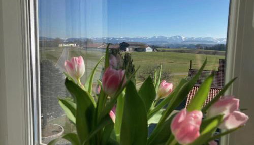 Ferienwohnung Schele - Foto 4