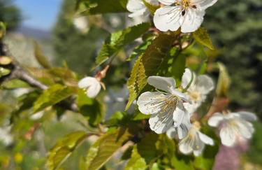 15 min A7, idéal Pro, Nuit Étape & invités événement - Foto 41