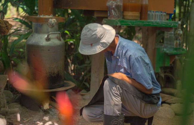 Visita a uma fazenda - Foto 8